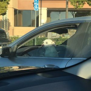 Meet your Posher, Rocio